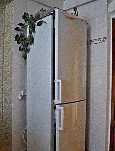 Портрет человека